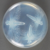 Boîte « Libellules » verre opalescent de René LALIQUE | Biron Boîte "Libellules" verre opalescent de René LALIQUE