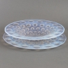 Assiette & Coupe « Asters » verre opalescent de René LALIQUE | Biron Assiette & Coupe "Asters" verre opalescent de René LALIQUE