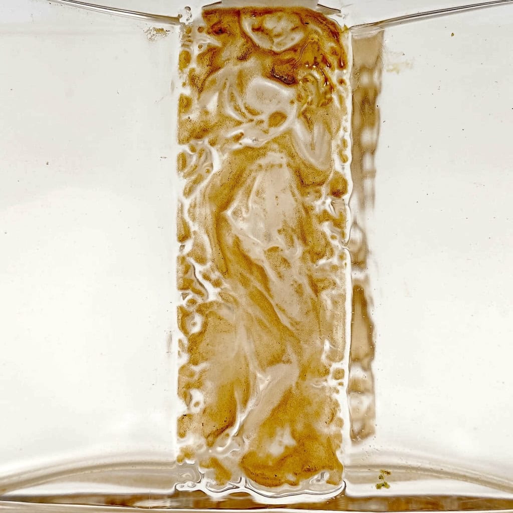 Flacon « L’Orée » verre blanc patiné sépia de René LALIQUE pour Claire Paris | Biron Flacon "L'Orée" verre blanc patiné sépia de René LALIQUE pour Claire Paris