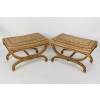 Paire de Larges Tabourets Curules de Style Louis XVI, circa 1900 | Biron ||||||||
