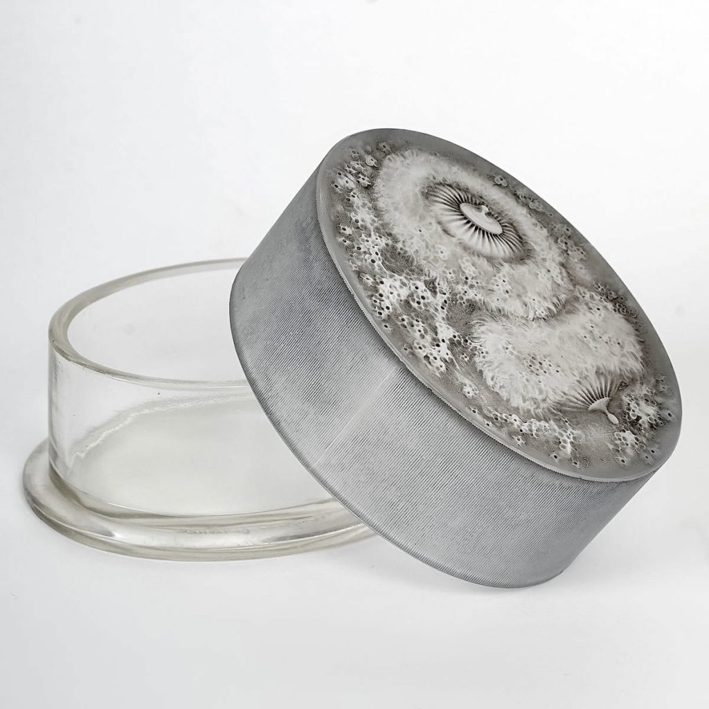 Boîte « Gabrielle » verre blanc patiné gris de René LALIQUE | Biron Boîte "Gabrielle" verre blanc patiné gris de René LALIQUE