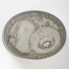 Boîte « Gabrielle » verre blanc patiné gris de René LALIQUE | Biron Boîte "Gabrielle" verre blanc patiné gris de René LALIQUE
