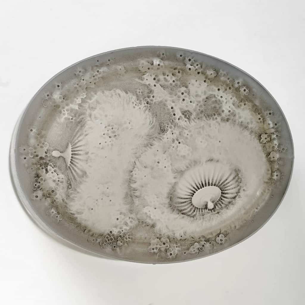 Boîte « Gabrielle » verre blanc patiné gris de René LALIQUE | Biron Boîte "Gabrielle" verre blanc patiné gris de René LALIQUE