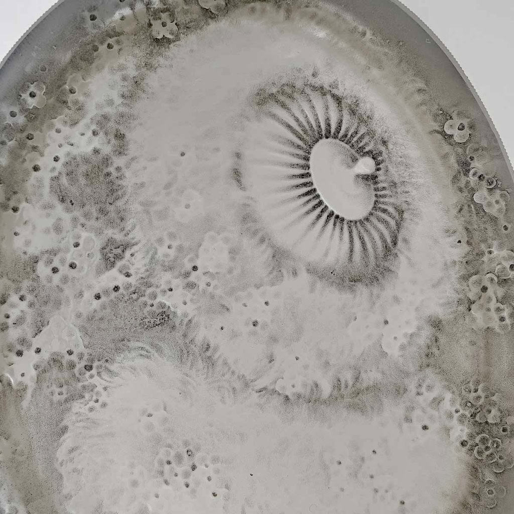 Boîte « Gabrielle » verre blanc patiné gris de René LALIQUE | Biron Boîte "Gabrielle" verre blanc patiné gris de René LALIQUE