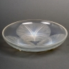 Coupe « Volubilis » verre opalescent de René LALIQUE | Biron |||||