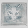 Boîte « Chat » verre blanc patiné bleu de René LALIQUE | Biron |||||