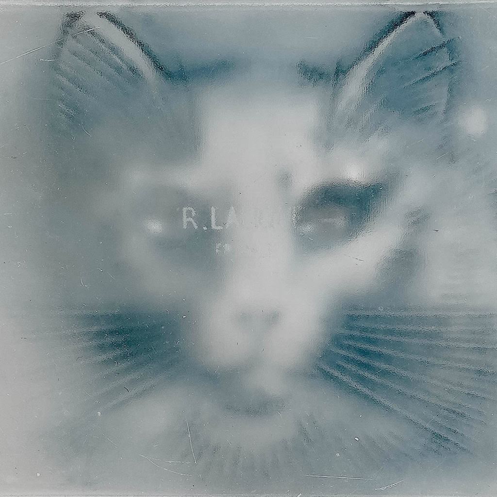 Boîte « Chat » verre blanc patiné bleu de René LALIQUE | Biron Boîte "Chat" verre blanc patiné bleu de René LALIQUE