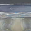 Coupe « Anges » verre opalescent de René LALIQUE | Biron Coupe "Anges" verre opalescent de René LALIQUE
