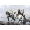 Une Paire De Plaques En Porcelaine Avec Peinture Orientaliste XXème Siècle | Biron Une Paire De Plaques En Porcelaine Avec Peinture Orientaliste XXème Siècle