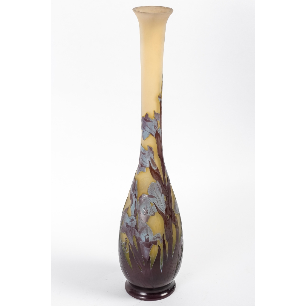 Émile Gallé (1846-1904) Vase « Glaïeuls » | Biron |||||||