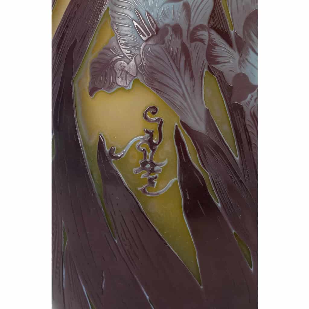 Émile Gallé (1846-1904) Vase « Glaïeuls » | Biron Émile Gallé (1846-1904) Vase "Glaïeuls"