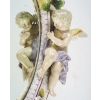 Miroir En Porcelaine De Meissen à Décor De Putti Et Fleurs, XIXe | Biron Miroir En Porcelaine De Meissen à Décor De Putti Et Fleurs, XIXe