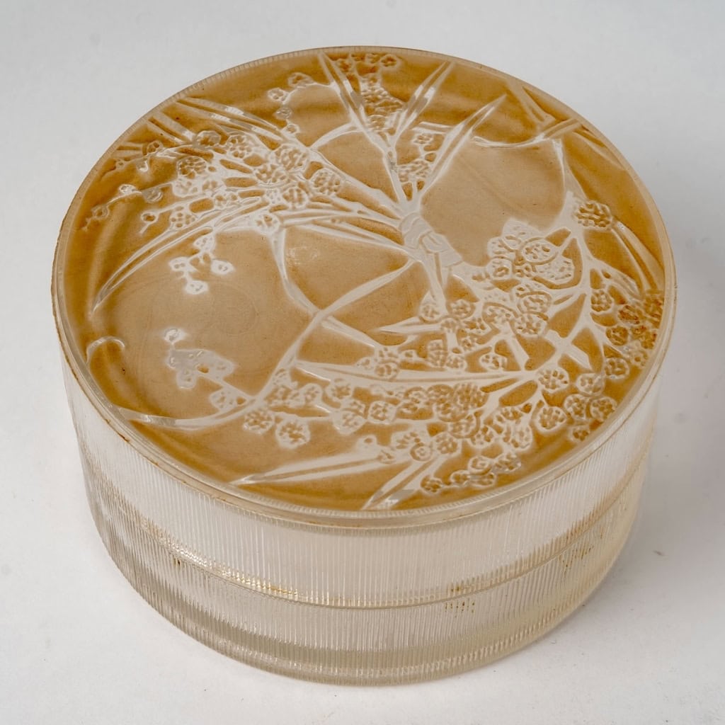 Boîte « Un Jardin dans la Nuit » verre blanc patiné sépia de René LALIQUE pour Arys | Biron |||||||