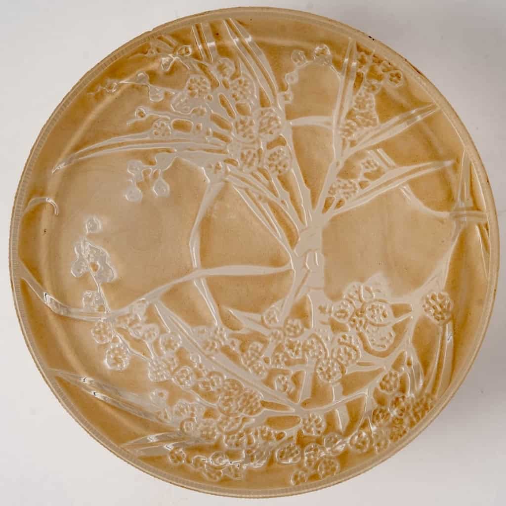 Boîte « Un Jardin dans la Nuit » verre blanc patiné sépia de René LALIQUE pour Arys | Biron Boîte "Un Jardin dans la Nuit" verre blanc patiné sépia de René LALIQUE pour Arys
