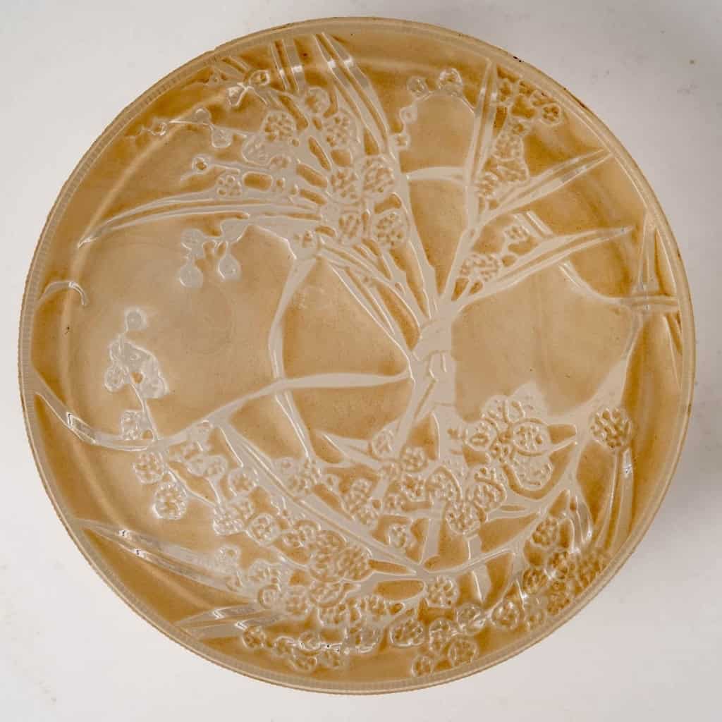 Boîte « Un Jardin dans la Nuit » verre blanc patiné sépia de René LALIQUE pour Arys | Biron Boîte "Un Jardin dans la Nuit" verre blanc patiné sépia de René LALIQUE pour Arys