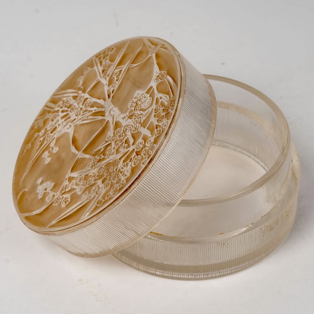 Boîte « Un Jardin dans la Nuit » verre blanc patiné sépia de René LALIQUE pour Arys | Biron Boîte "Un Jardin dans la Nuit" verre blanc patiné sépia de René LALIQUE pour Arys