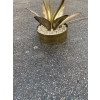 1970′ Plante Éclairante en Laiton Maison Jansen 3 Têtes