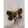 1970’ Applique Papillon en Bronze ou Laiton, Duval Brasseur Ou Isabelle Faure, 1 Ampoule, Ailes d’Agate | Biron 1970’ Applique Papillon en Bronze ou Laiton, Duval Brasseur Ou Isabelle Faure, 1 Ampoule, Ailes d’Agate