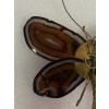 1970’ Applique Papillon en Bronze ou Laiton, Duval Brasseur Ou Isabelle Faure, 1 Ampoule, Ailes d’Agate | Biron 1970’ Applique Papillon en Bronze ou Laiton, Duval Brasseur Ou Isabelle Faure, 1 Ampoule, Ailes d’Agate
