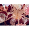 1970′ Lustre Murano Bleu et Rose | Biron 1970′ Lustre Murano Bleu et Rose