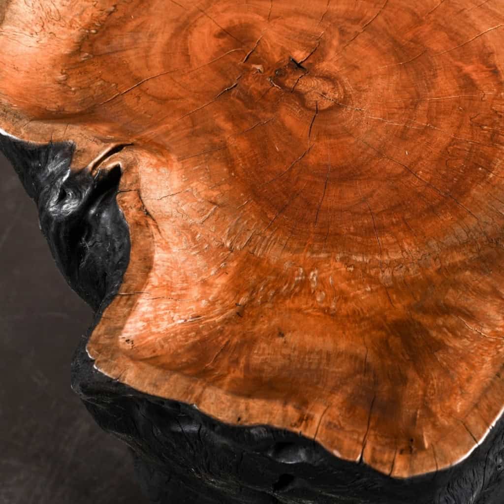 Bout de canapé, table d’appoint à roulettes en bois noirci, construit dans un tronc d’arbre, XXème siècle. | Biron Bout de canapé, table d’appoint à roulettes en bois noirci, construit dans un tronc d’arbre, XXème siècle.