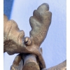 1900′ Paire d’Appliques Style Louis 16 Bronze Doré Aux Cors De Chasse Signée Jansen | Biron 1900′ Paire d’Appliques Style Louis 16 Bronze Doré Aux Cors De Chasse Signée Jansen