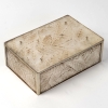 Coffret « Châtaignier » verre blanc patiné sépia sur clinquant argent et métal argenté de René LALIQUE | Biron ||||||||||