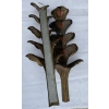1970′ Paire d’Appliques Laiton Patiné Allégorie Ginkgo Feuillage à 4 Ampoules Symbole Longévité | Biron 1970′ Paire d’Appliques Laiton Patiné Allégorie Ginkgo Feuillage à 4 Ampoules Symbole Longévité