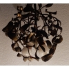 1900′ Lustre Boule de Gui en Bronze Art Nouveau a 5 Lampes | Biron 1900′ Lustre Boule de Gui en Bronze Art Nouveau a 5 Lampes