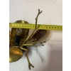 1970’ Applique Abeille en Bronze ou Laiton, Duval Brasseur Ou Isabelle Faure, 1 Ampoule, Ailes d’Agate | Biron 1970’ Applique Abeille en Bronze ou Laiton, Duval Brasseur Ou Isabelle Faure, 1 Ampoule, Ailes d’Agate