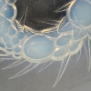 Coupe « Mont Dore » verre opalescent de René LALIQUE | Biron Coupe "Mont Dore" verre opalescent de René LALIQUE