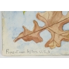 Aquarelle sur papier, dessin double face, 1962. | Biron Aquarelle sur papier, dessin double face, 1962.