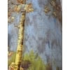 DAUM NANCY vase « paysage » | Biron 