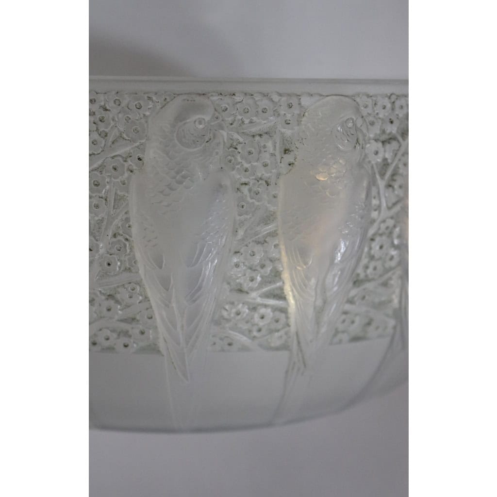 René LALIQUE ,1931 Coupe « Perruches » Opalescente. | Biron René LALIQUE ,1931 Coupe « Perruches » Opalescente.