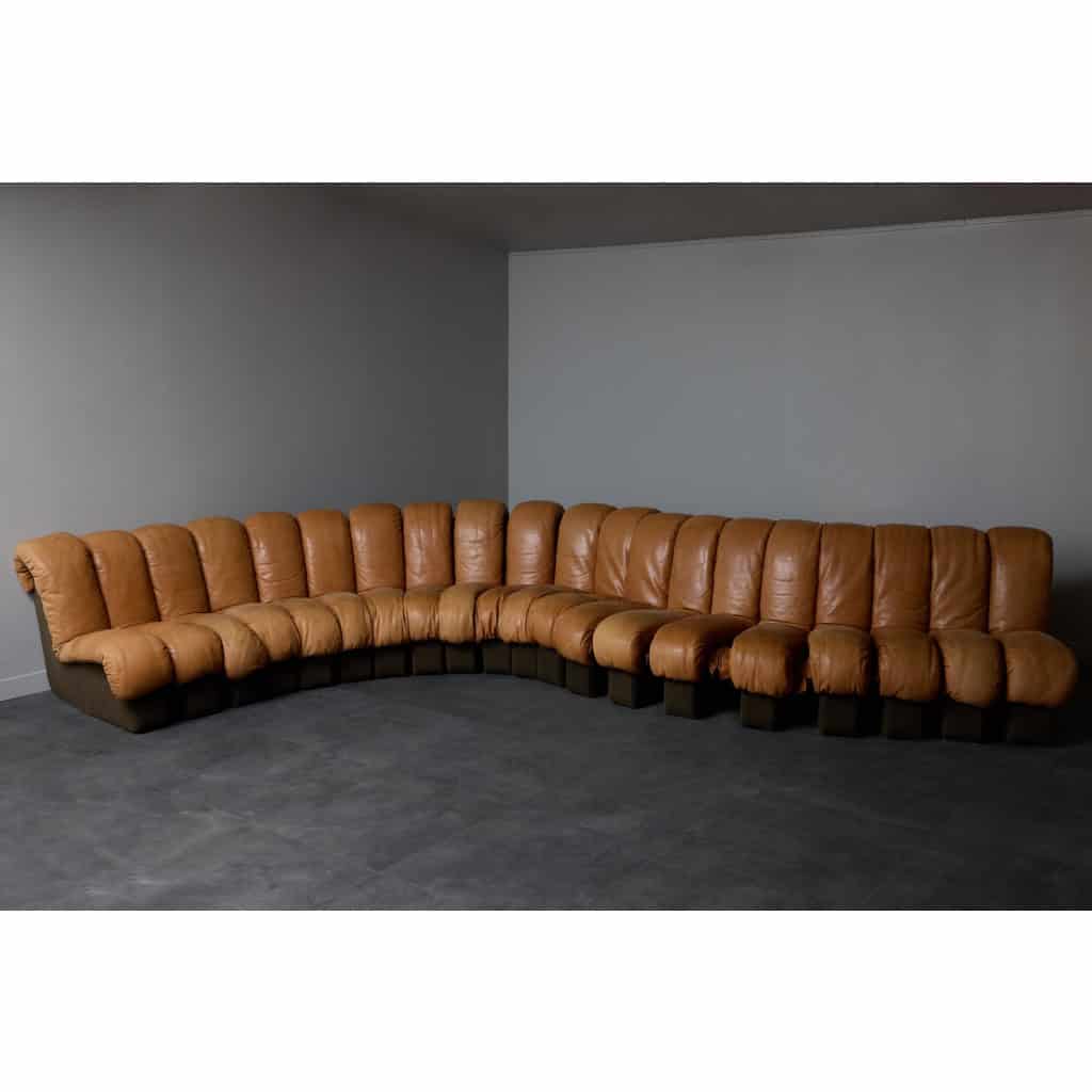 DS-600 Brown Leather Twenty Element Sofa by DeSede | Biron 