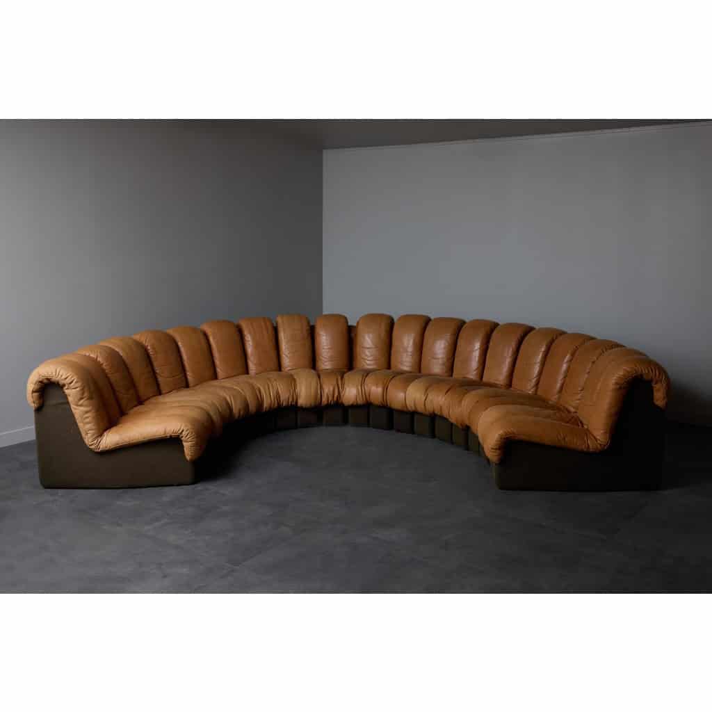 DS-600 Brown Leather Twenty Element Sofa by DeSede | Biron 