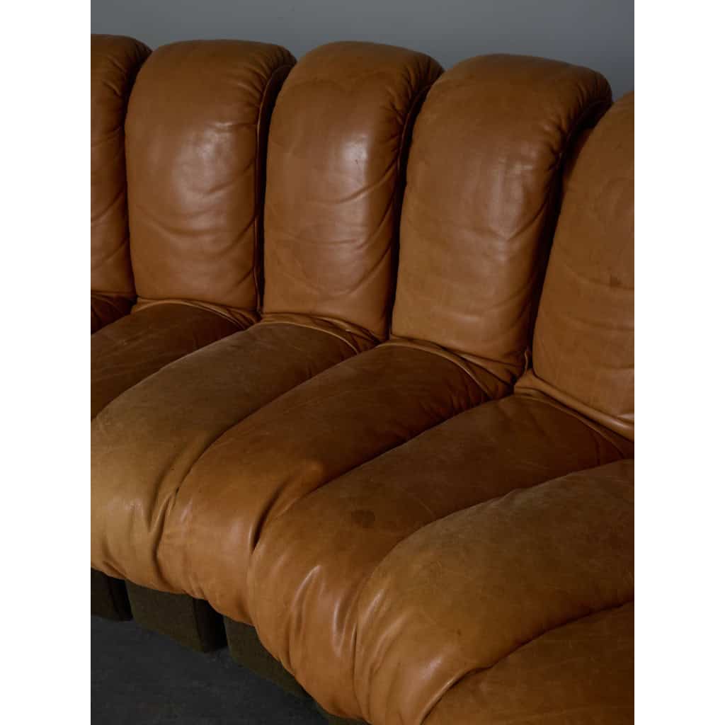 DS-600 Brown Leather Twenty Element Sofa by DeSede | Biron 