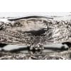 ORFEVRE C.CHRISTOFLE Silver-plated bronze centerpiece called “The Forest” XIXth century | Biron