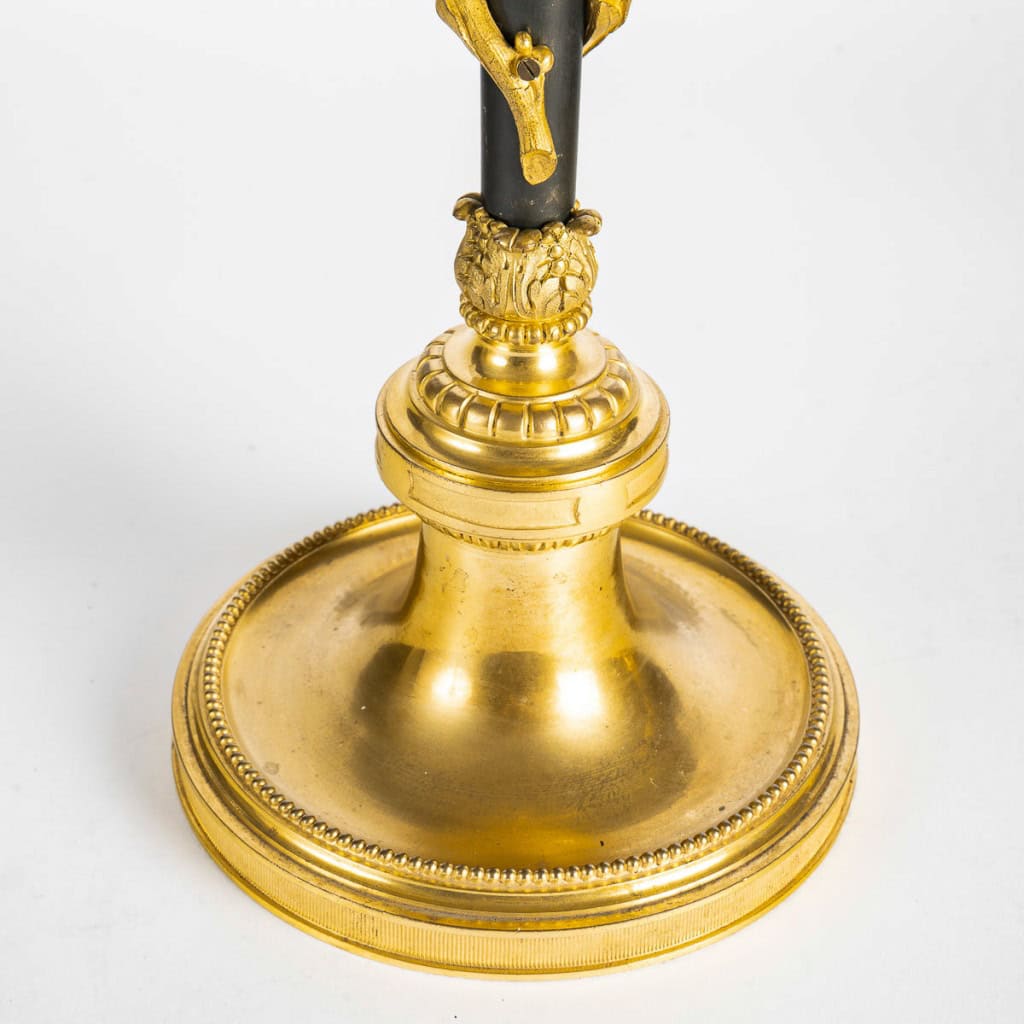 Paire de candélabres de style Louis XVI en bronze patiné et doré vers 1880 | Biron 