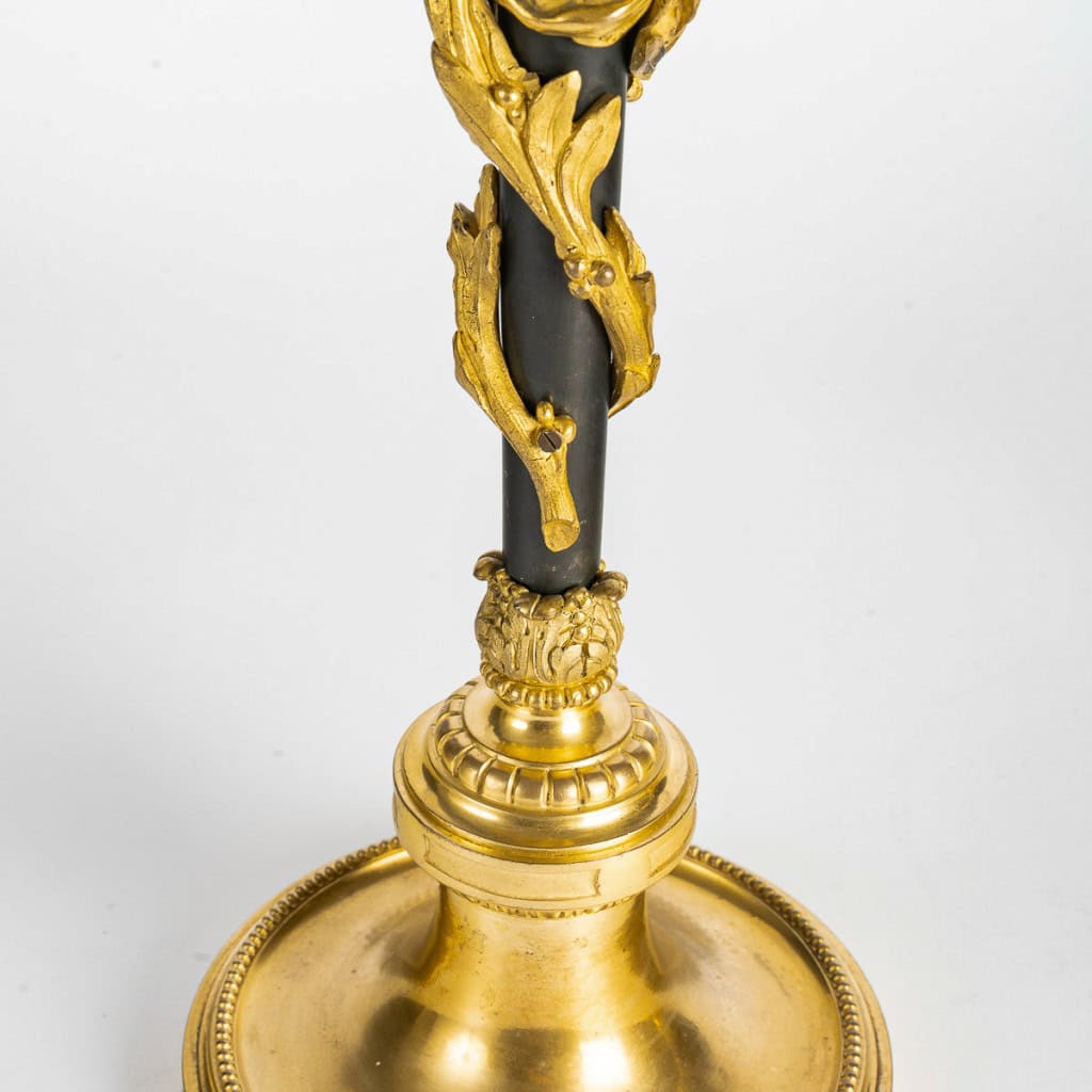 Paire de candélabres de style Louis XVI en bronze patiné et doré vers 1880 | Biron 