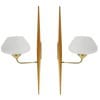 1950 Paire d’appliques Maison Arlus | Biron 