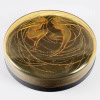 Boîte « Deux Sirènes » verre orange opalescent de René LALIQUE | Biron 