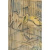 Reproduction de Raoul Dufy bien encadré, XXème siècle. | Biron 