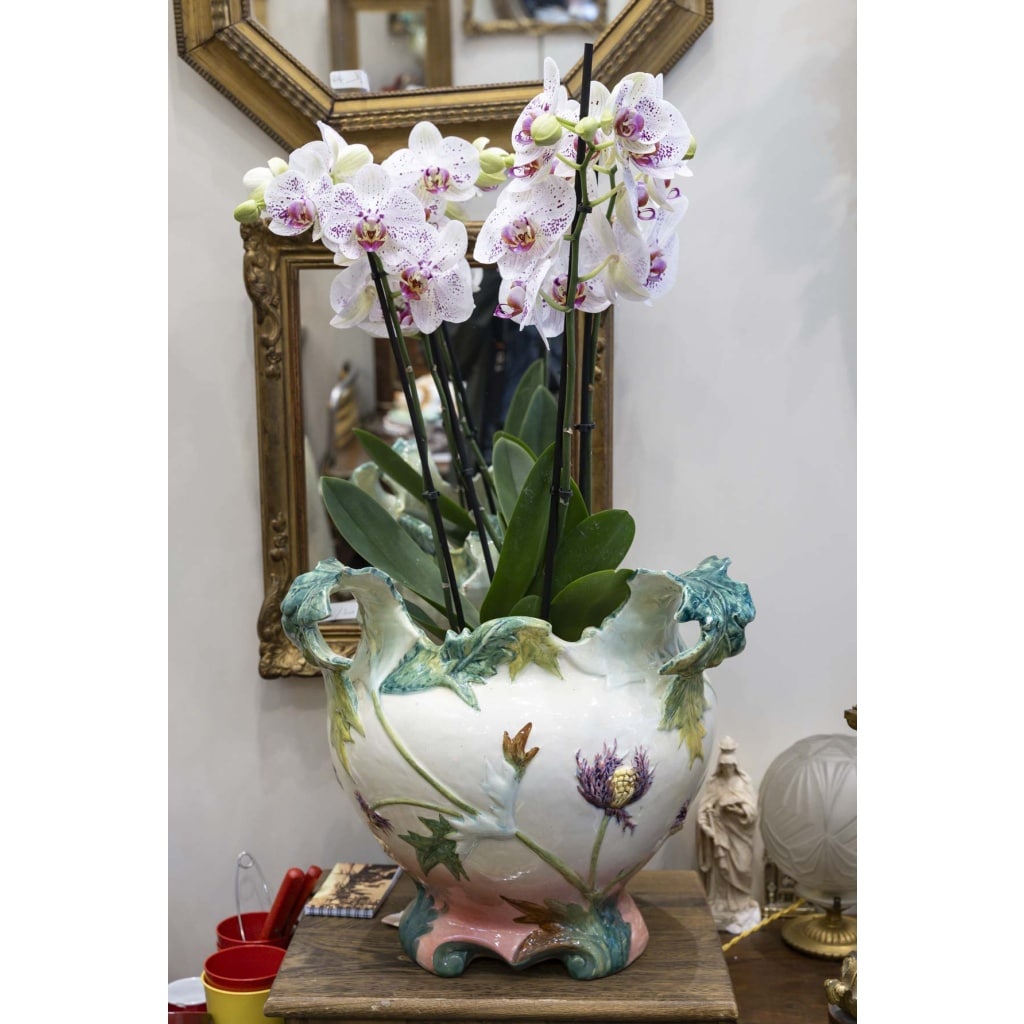 Cache pot Massier | Biron 