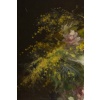 Corbeille de Pivoines et Mimosas signé Barbaud Koch | Biron 