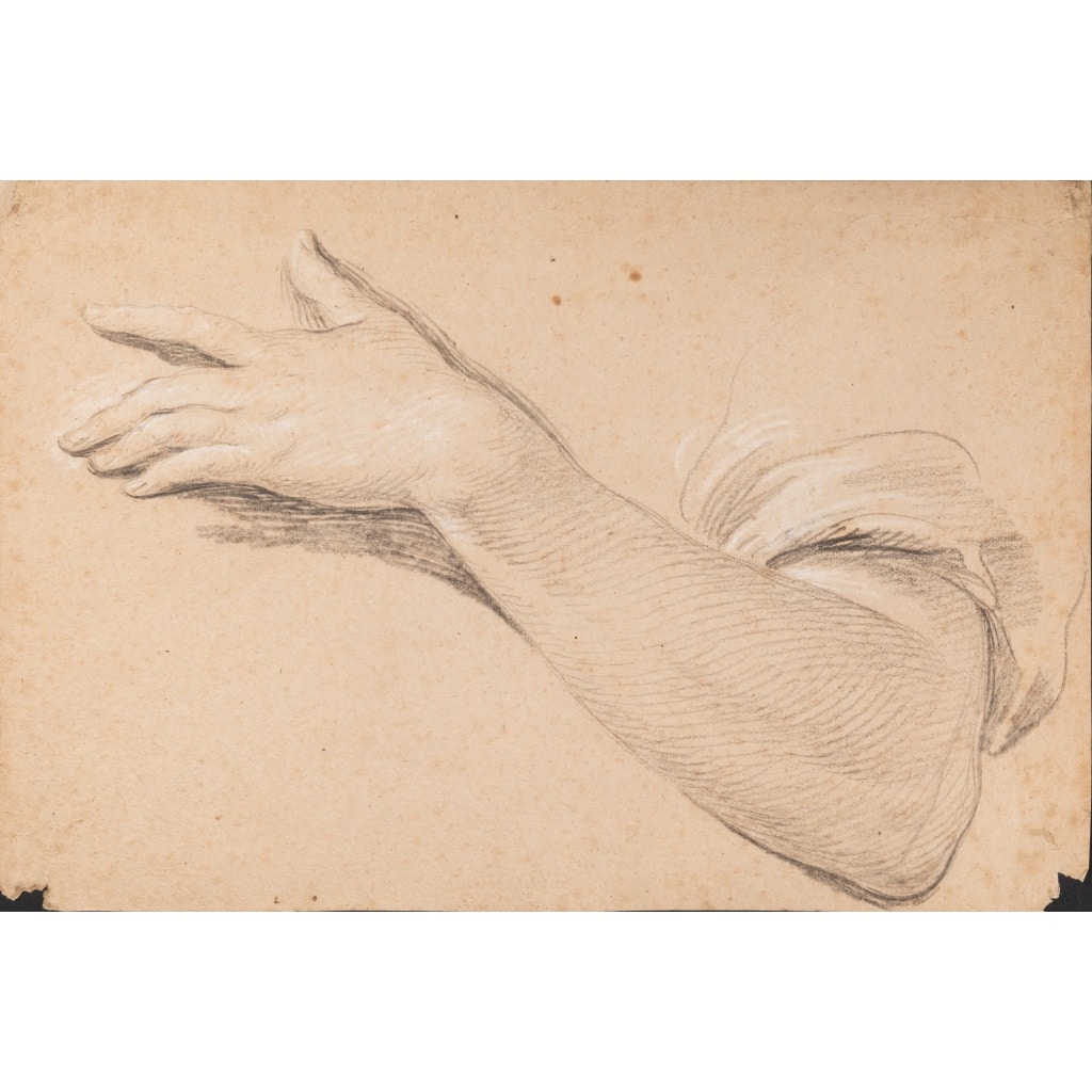 Etude de main gauche. Joseph Ignace François Parrocel (1704 – 1781) | Biron 