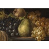 F KOCH, nature morte aux fruits | Biron 