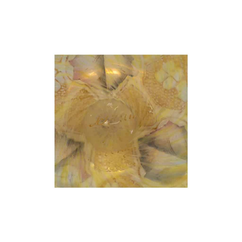 Daum VASE HYDRANGEAS ET PAPILLONS | Biron 