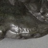 Sculpture – Ours Debout N°2 , Antoine – Louis Barye (1795-1875) – Bronze | Biron 