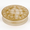 Boîte "Marguerites" verre blanc patiné sépia de René LALIQUE 